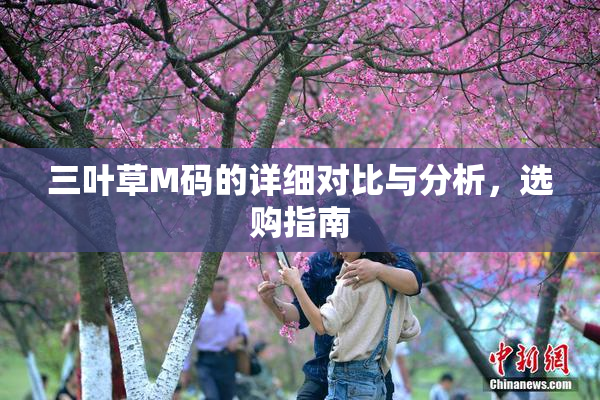 三叶草M码的详细对比与分析，选购指南