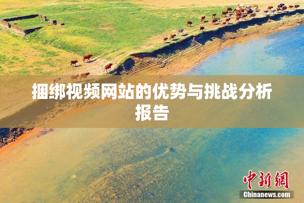 捆绑视频网站的优势与挑战分析报告