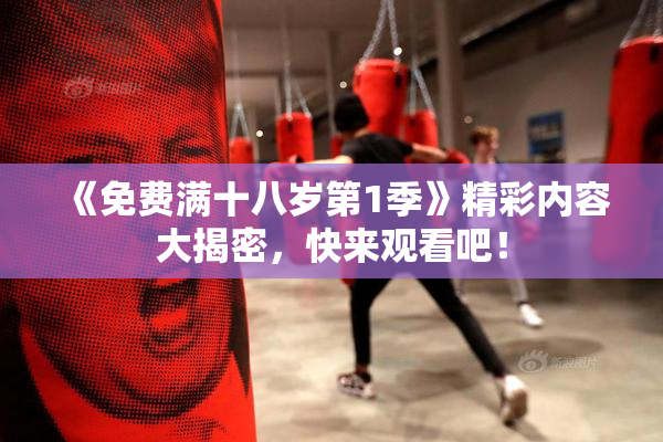 《免费满十八岁第1季》精彩内容大揭密，快来观看吧！