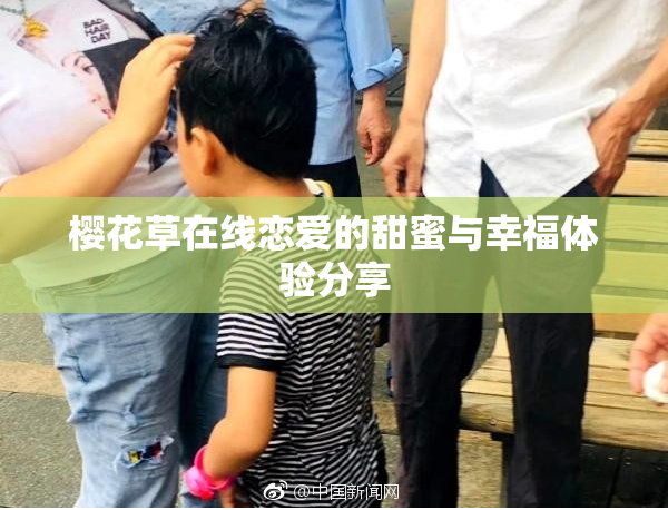 樱花草在线恋爱的甜蜜与幸福体验分享