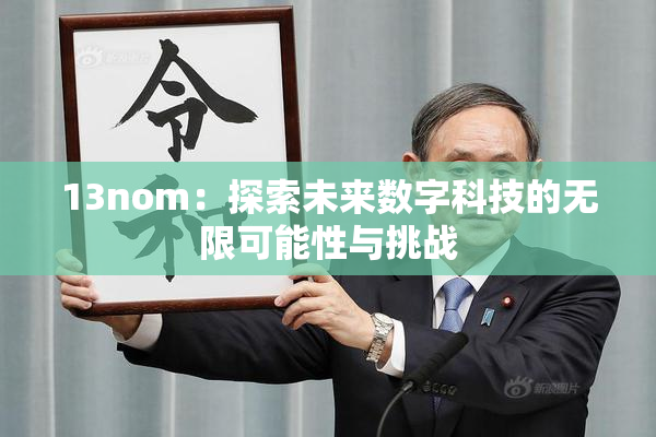 13nom：探索未来数字科技的无限可能性与挑战