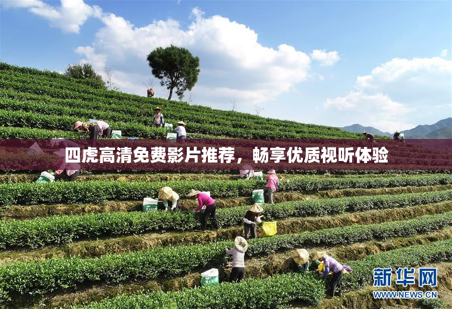 四虎高清免费影片推荐，畅享优质视听体验