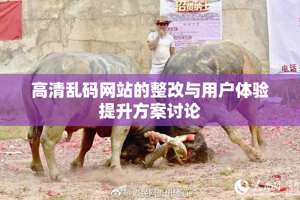 高清乱码网站的整改与用户体验提升方案讨论