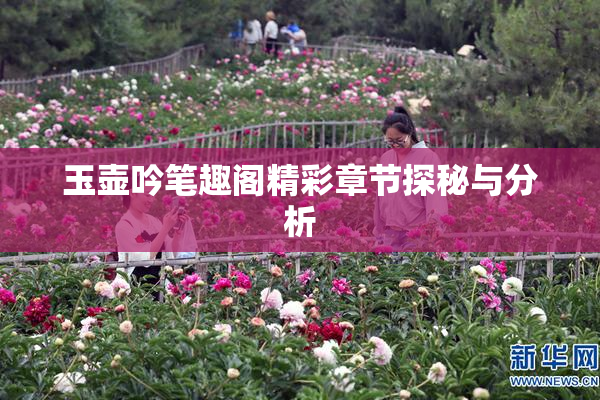 玉壶吟笔趣阁精彩章节探秘与分析