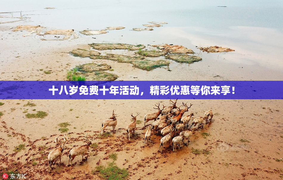 十八岁免费十年活动，精彩优惠等你来享！