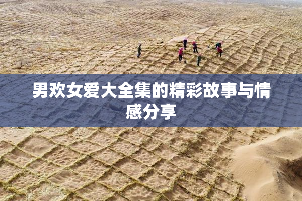 男欢女爱大全集的精彩故事与情感分享