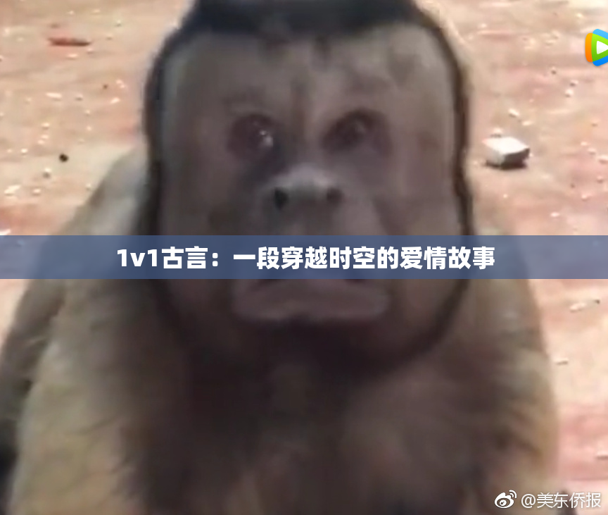 1v1古言：一段穿越时空的爱情故事