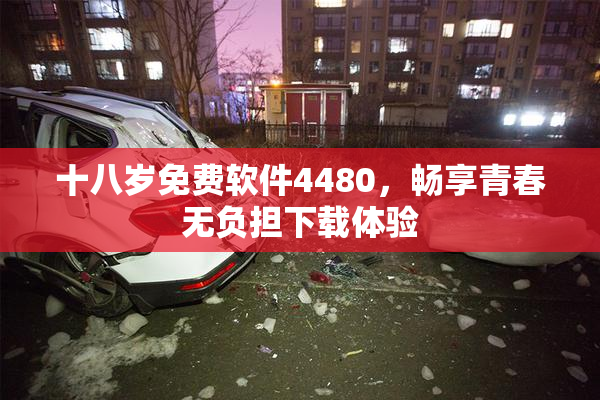十八岁免费软件4480，畅享青春无负担下载体验