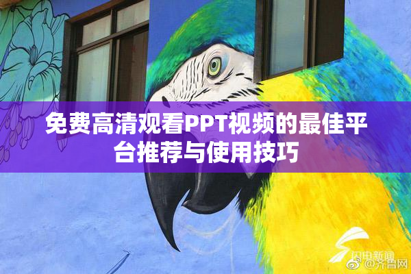 免费高清观看PPT视频的最佳平台推荐与使用技巧