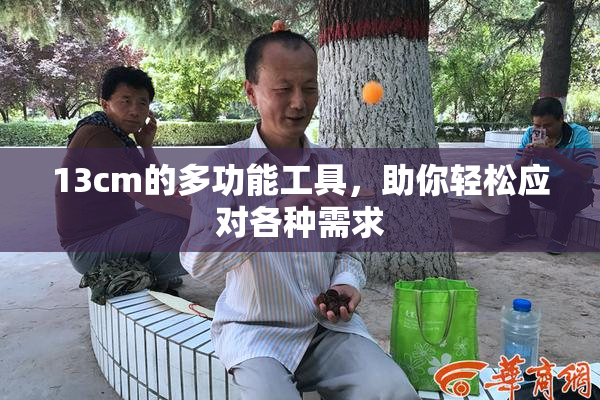 13cm的多功能工具，助你轻松应对各种需求