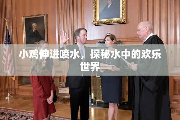 小鸡伸进喷水，探秘水中的欢乐世界