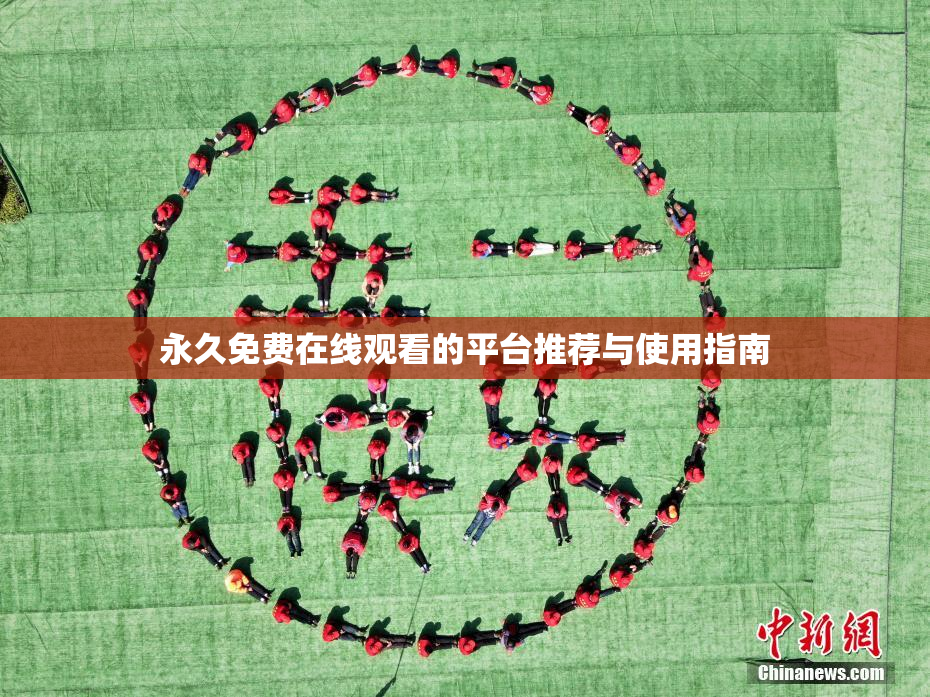 永久免费在线观看的平台推荐与使用指南