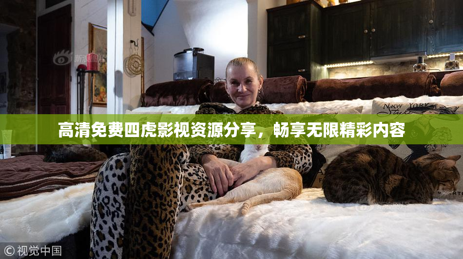 高清免费四虎影视资源分享，畅享无限精彩内容