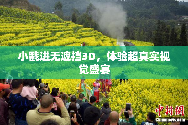 小戳进无遮挡3D，体验超真实视觉盛宴