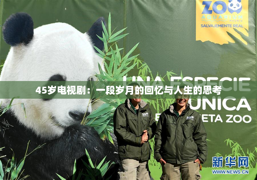 45岁电视剧：一段岁月的回忆与人生的思考