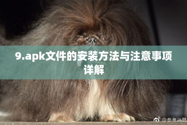 9.apk文件的安装方法与注意事项详解