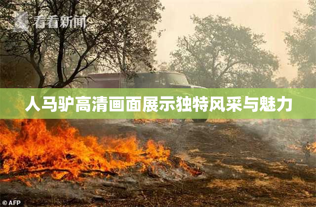人马驴高清画面展示独特风采与魅力
