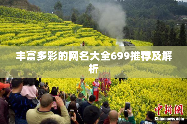 丰富多彩的网名大全699推荐及解析