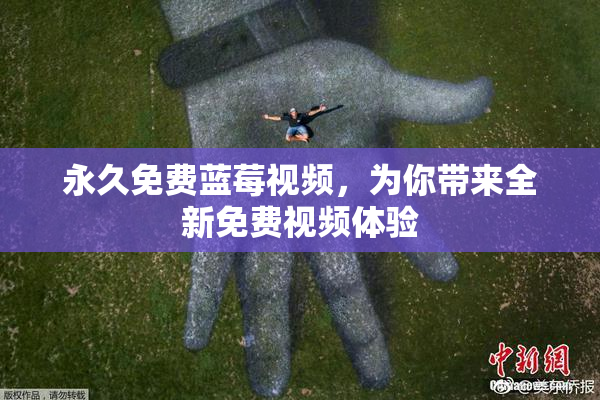 永久免费蓝莓视频，为你带来全新免费视频体验