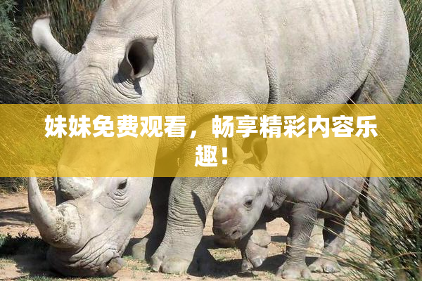 妹妹免费观看，畅享精彩内容乐趣！
