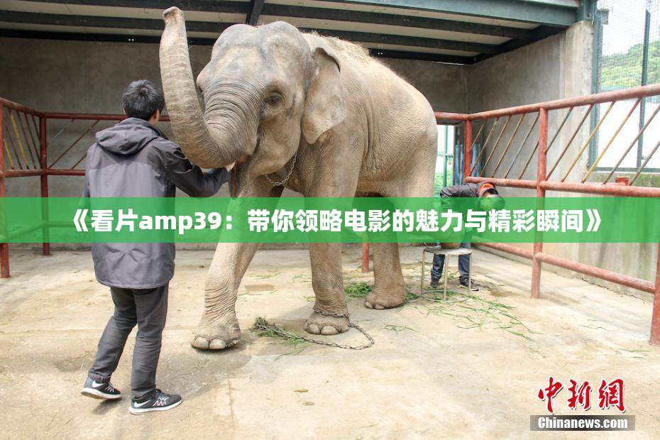 《看片amp39：带你领略电影的魅力与精彩瞬间》