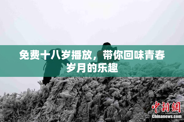 免费十八岁播放，带你回味青春岁月的乐趣