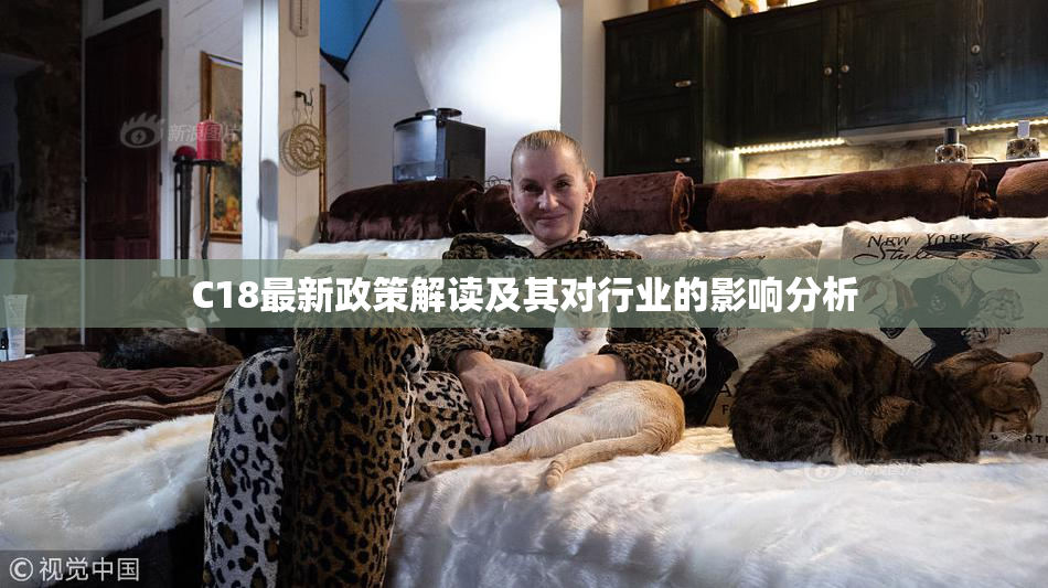 C18最新政策解读及其对行业的影响分析