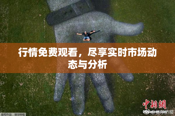 行情免费观看，尽享实时市场动态与分析