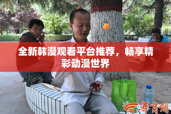 全新韩漫观看平台推荐，畅享精彩动漫世界