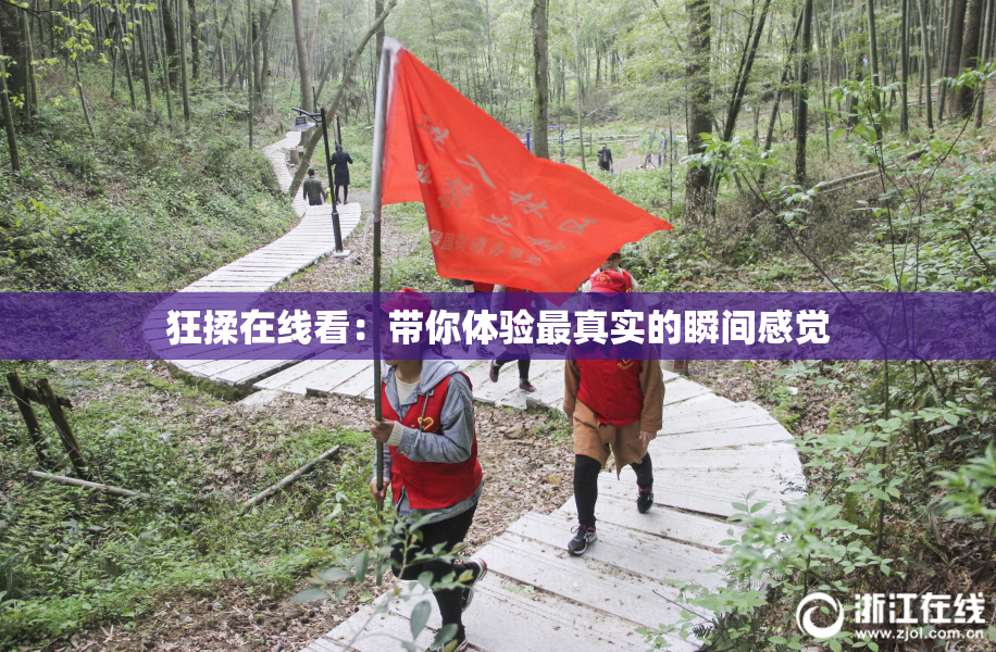 狂揉在线看：带你体验最真实的瞬间感觉