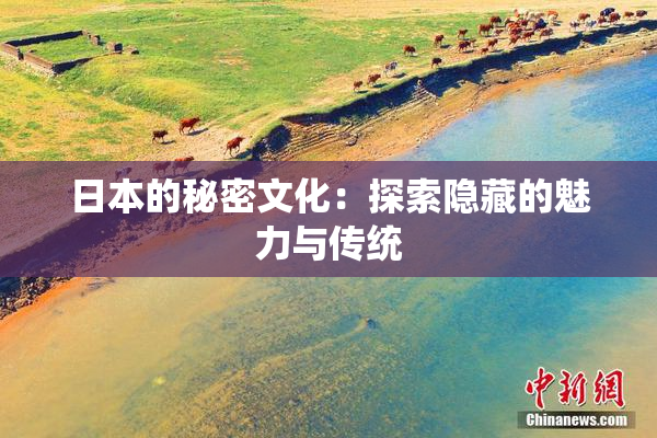 日本的秘密文化：探索隐藏的魅力与传统