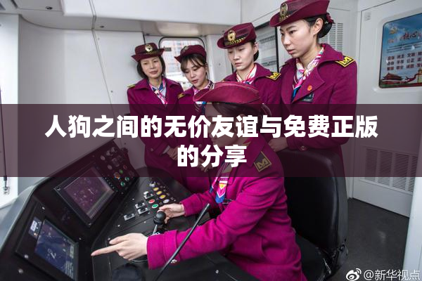 人狗之间的无价友谊与免费正版的分享