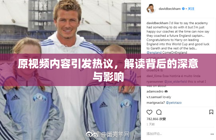 原视频内容引发热议，解读背后的深意与影响