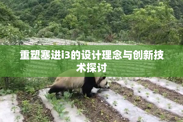 重塑塞进i3的设计理念与创新技术探讨