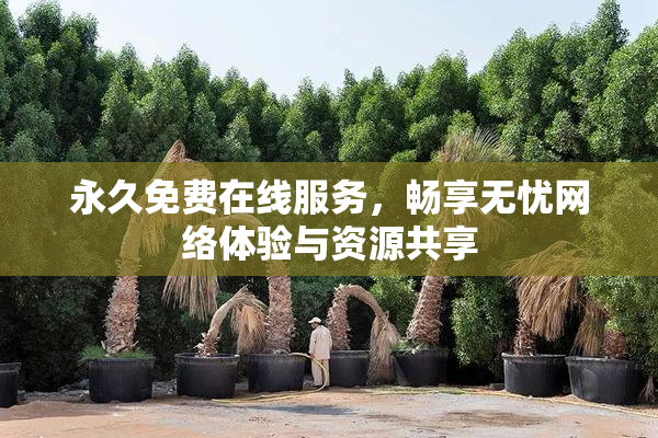 永久免费在线服务，畅享无忧网络体验与资源共享
