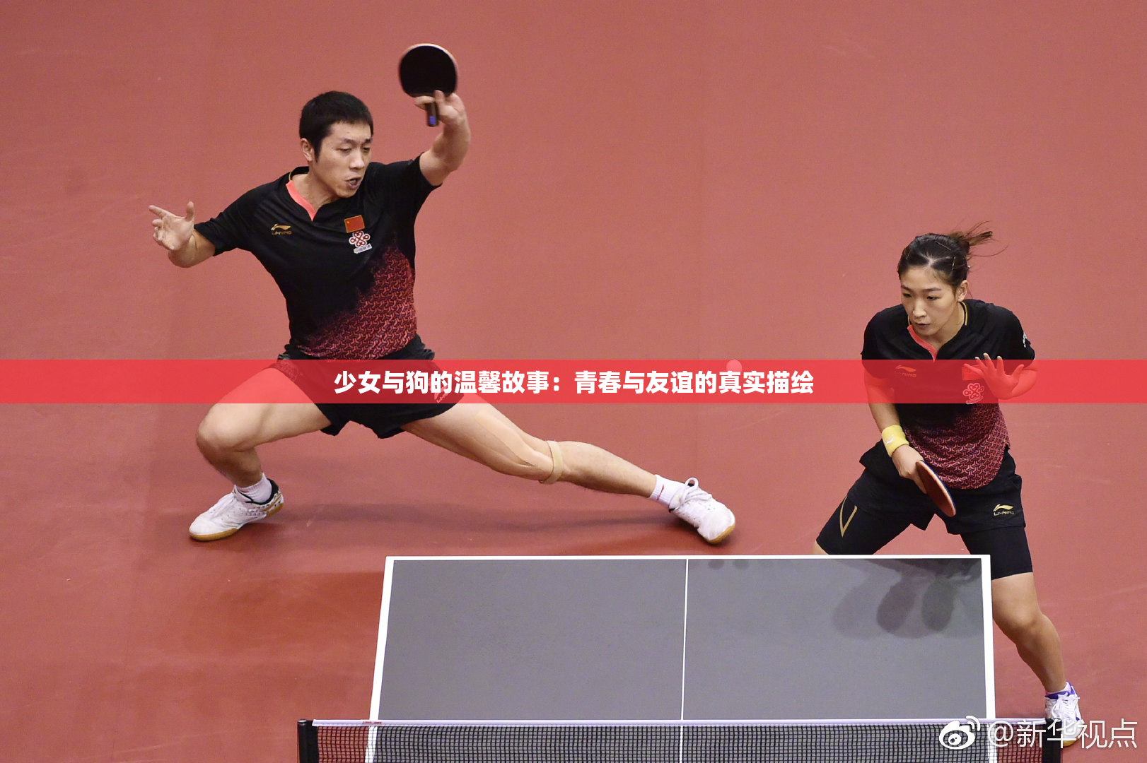 少女与狗的温馨故事：青春与友谊的真实描绘