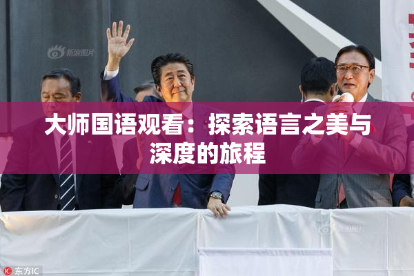 大师国语观看：探索语言之美与深度的旅程