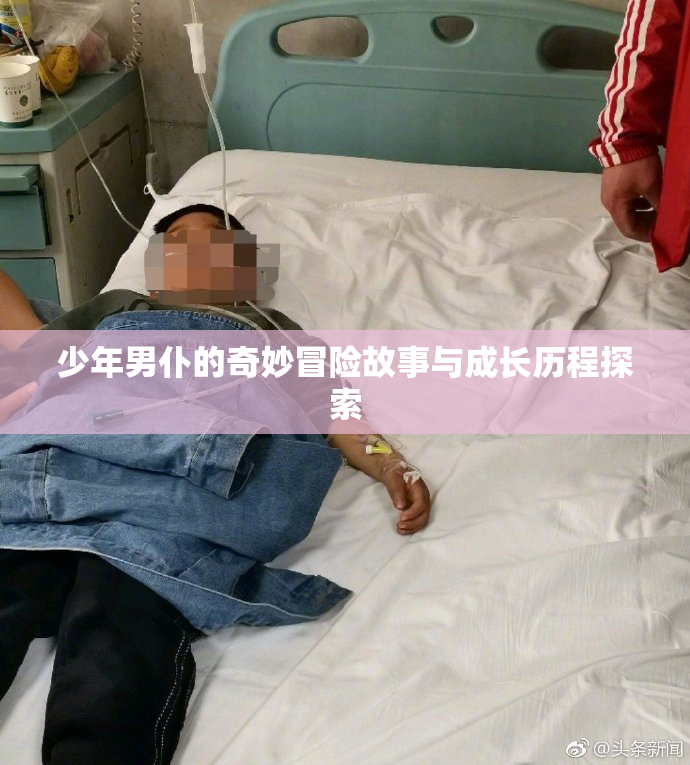 少年男仆的奇妙冒险故事与成长历程探索