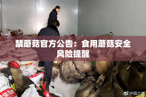 禁蘑菇官方公告：食用蘑菇安全风险提醒