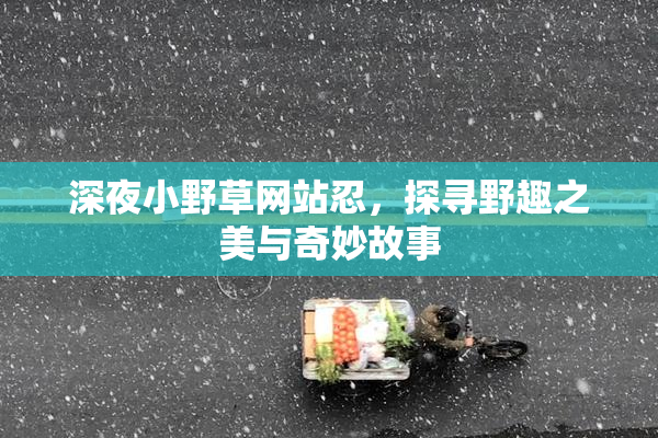 深夜小野草网站忍，探寻野趣之美与奇妙故事