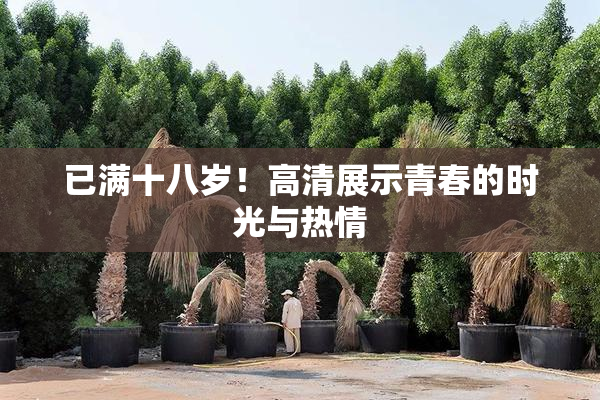 已满十八岁！高清展示青春的时光与热情