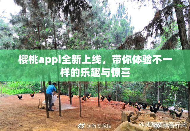 樱桃appi全新上线，带你体验不一样的乐趣与惊喜