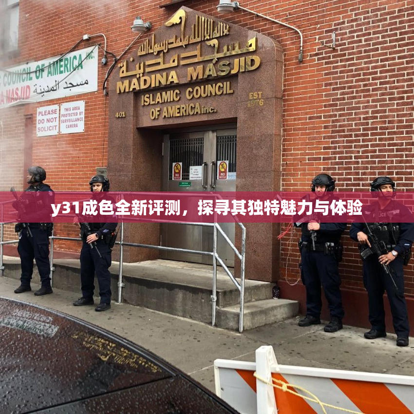 y31成色全新评测，探寻其独特魅力与体验