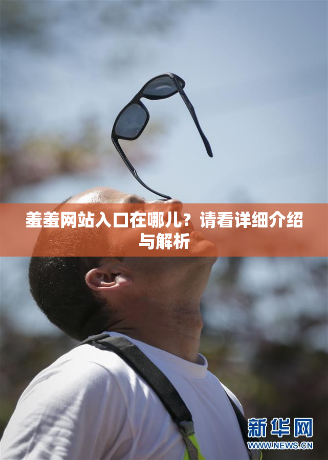 羞羞网站入口在哪儿？请看详细介绍与解析