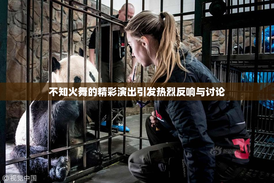 不知火舞的精彩演出引发热烈反响与讨论
