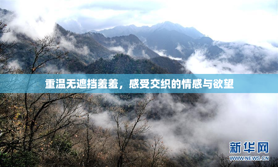 重温无遮挡羞羞，感受交织的情感与欲望