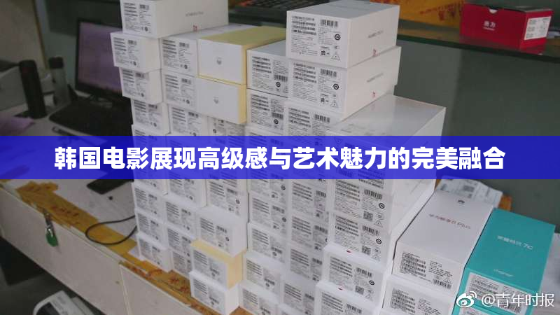 韩国电影展现高级感与艺术魅力的完美融合