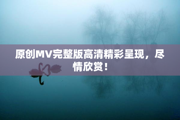 原创MV完整版高清精彩呈现，尽情欣赏！