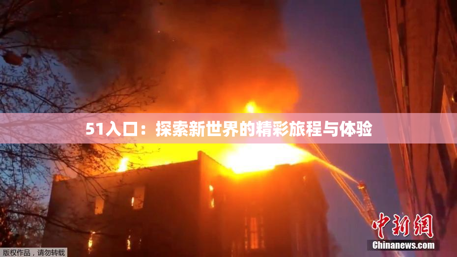 51入口：探索新世界的精彩旅程与体验