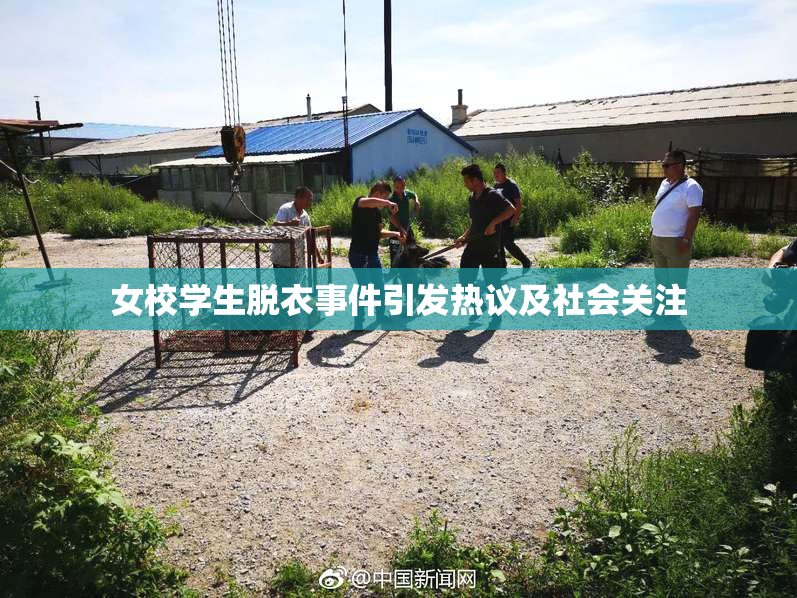 女校学生脱衣事件引发热议及社会关注